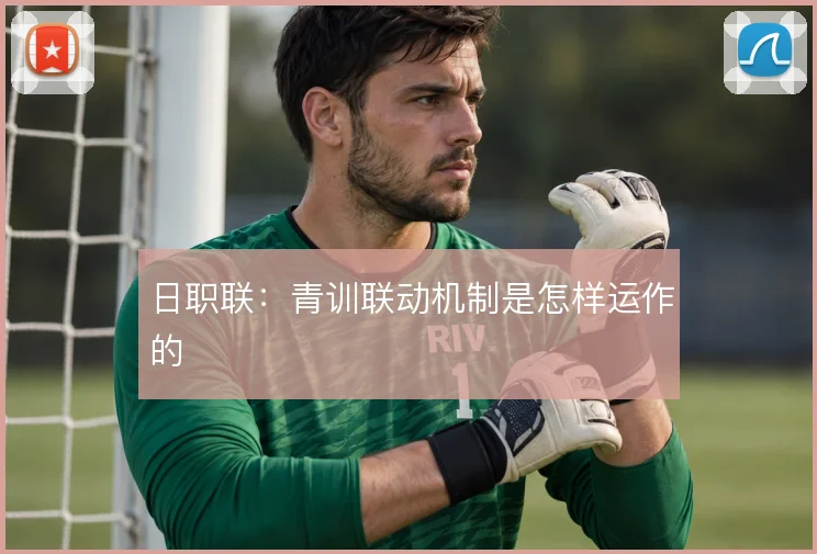日职联：青训联动机制是怎样运作的
