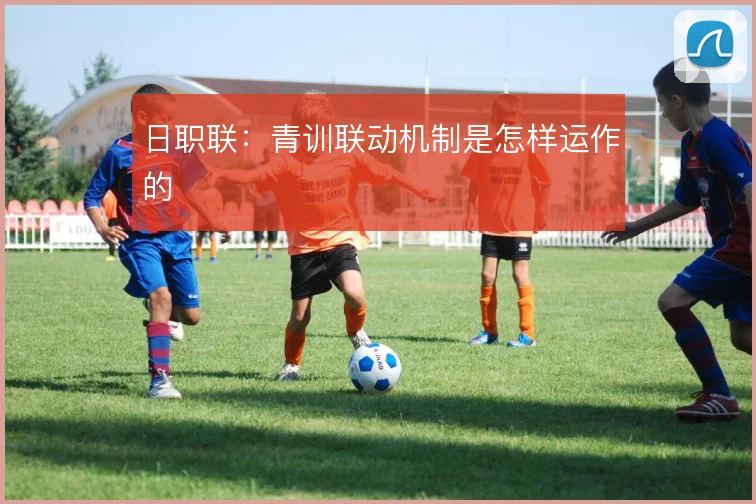 日职联：青训联动机制是怎样运作的